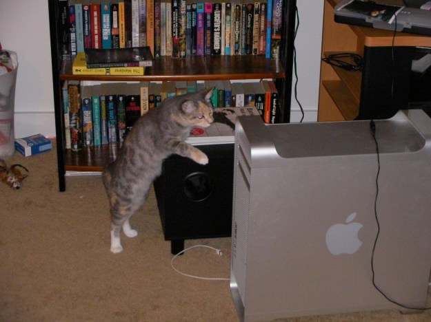 SANYO DIGITAL CAMERA