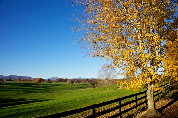 Virginia countryside.