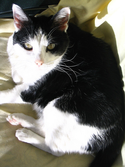 1538066592_6245cb2335_z