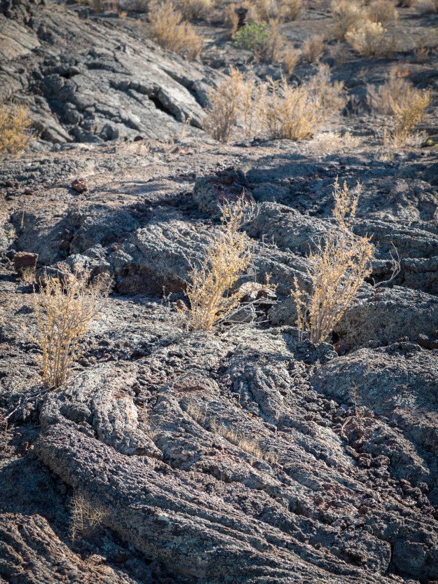 Lava Falls Area at El Malpais National Monument in western New Mexico.