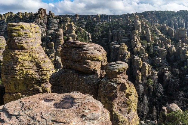 151126-chiricahua-07153