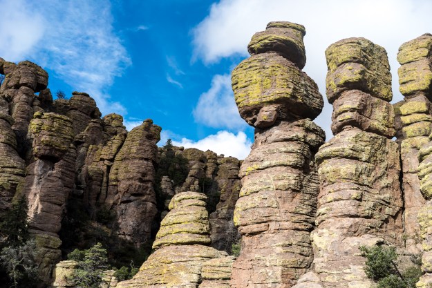 151126-chiricahua-07206