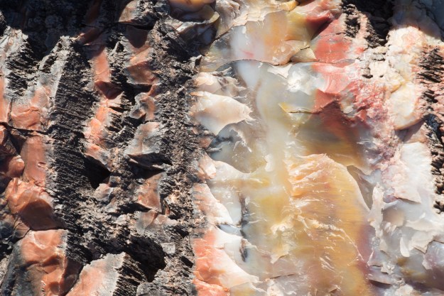 151128-petrified-forest-08492