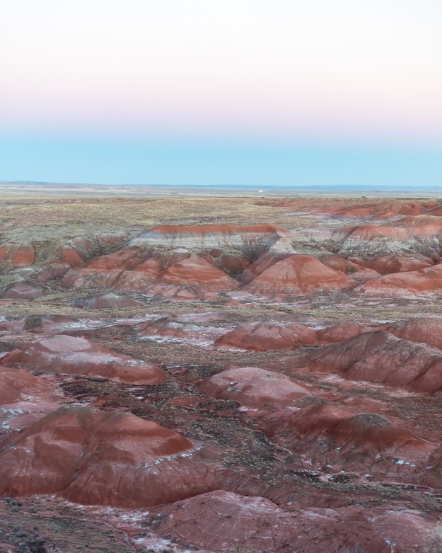 151128-petrified-forest-08657