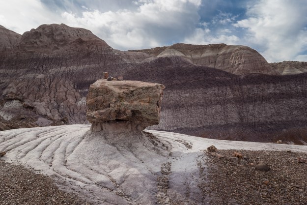 151129-petrified-forest-08839