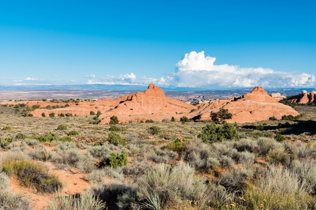 Fins of red rock. Later we got a little lost amongst all those massive parallel slabs.