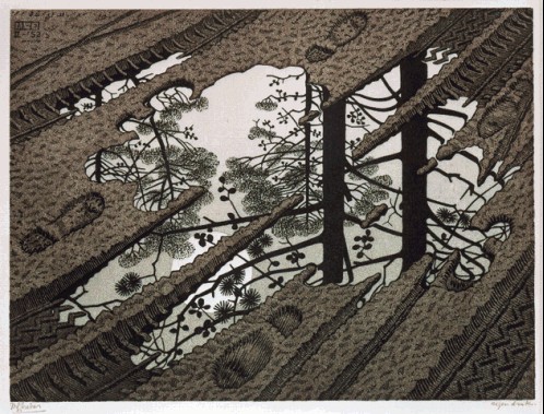 escher_puddle