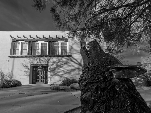 160217-UNM-campus-4711