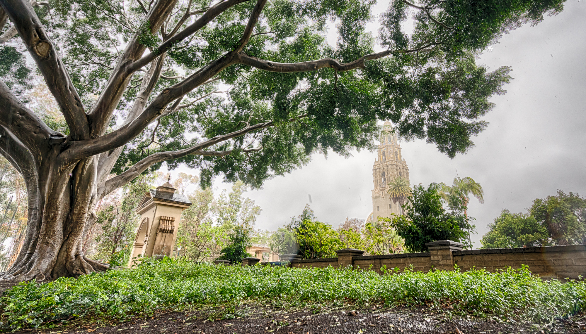 170227-san-diego-1835_hdr