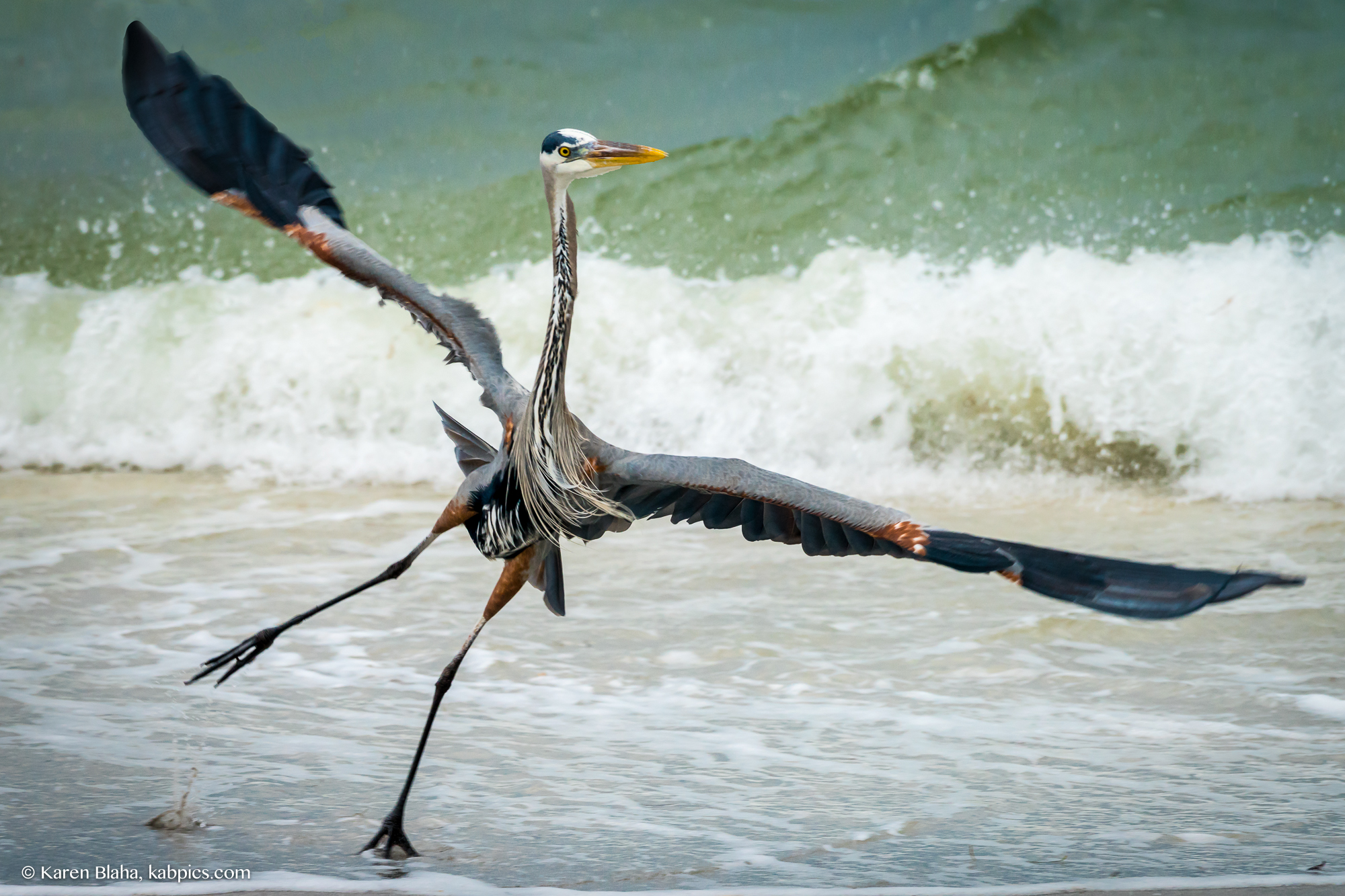 160105-boca-grande-beach-1988-edit-160105-edit-160105