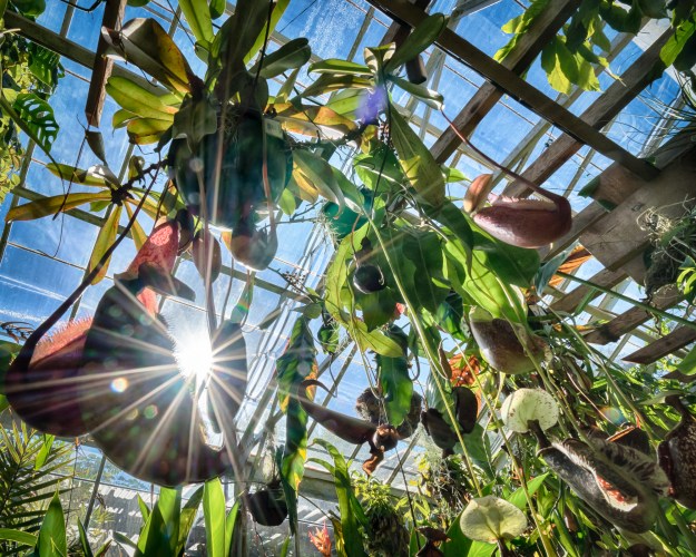 161229-marie-selby-1402_HDR