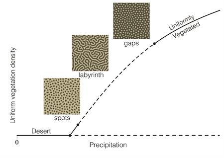 2696vegetation_figure_2